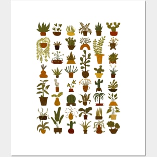 Plants and Pots Posters and Art